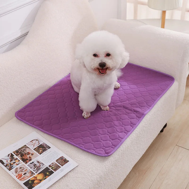 Reusable Washable Dog Pee Pad Blanket Super Absorbent Puppy Training Urine Mat Multi Functional Pet Bed Pad And Pet Car Seat Cover For Indoor And Travel Pet Supplies