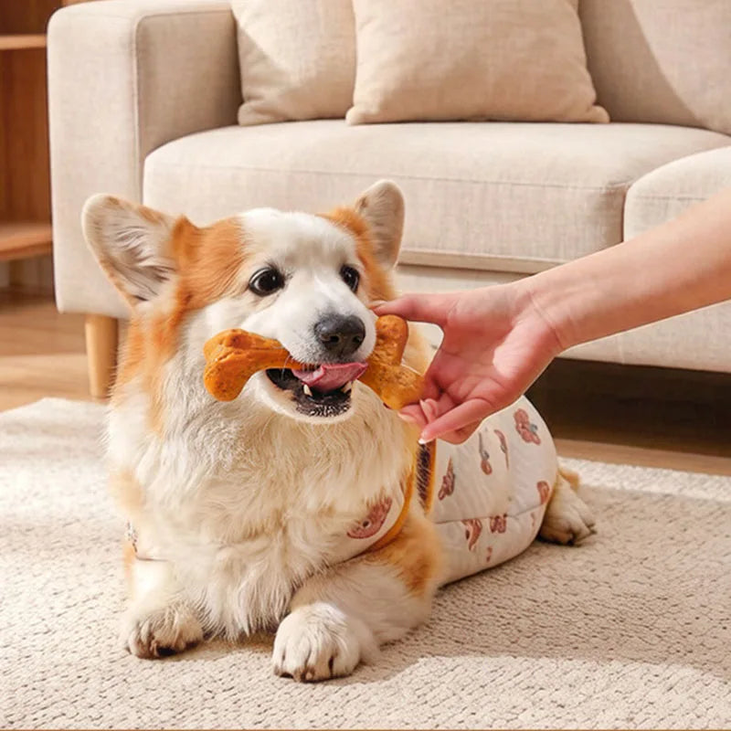 Durable Dog Chew Bones, Rawhide Pressed Bones for Aggressive Chewers, Teeth Cleaning Molar Sticks Toys for Puppy Small Medium