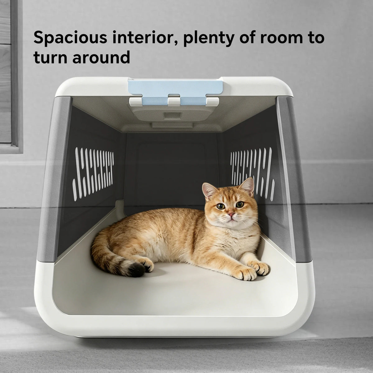 Outdoor Travel Pet Handheld Box Thick Durable Ventilated Breathable Large Capacity Removable Easy To Clean Cat Dog Airplane Box