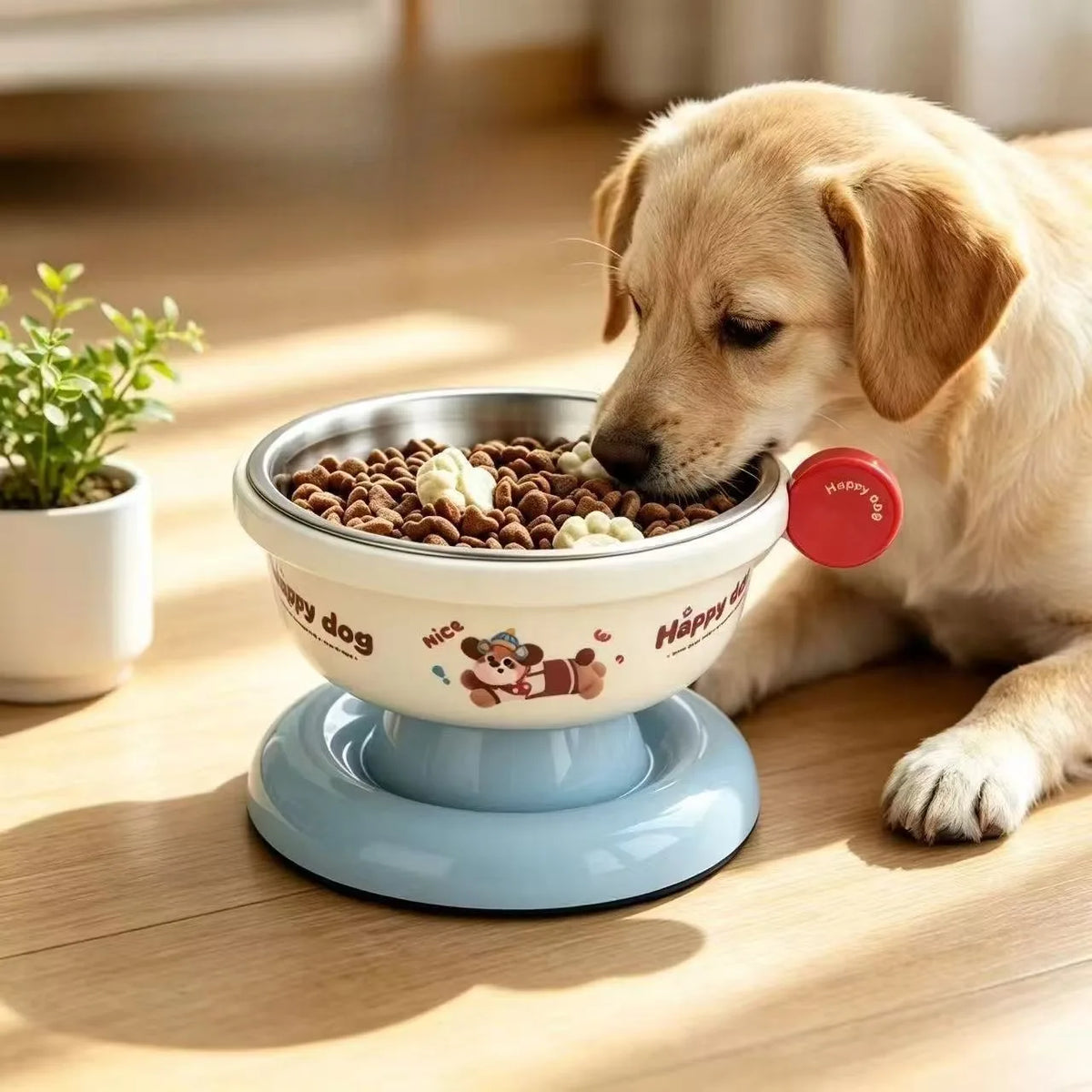 Elevated Cat Bowls Raised Food and Water Bowl Set for Indoor Anti-Vomit Neck Protection Feeder Pet Stainless Steel cat Bowls