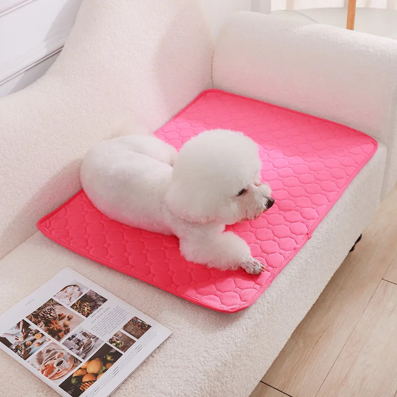 Reusable Washable Dog Pee Pad Blanket Super Absorbent Puppy Training Urine Mat Multi Functional Pet Bed Pad And Pet Car Seat Cover For Indoor And Travel Pet Supplies