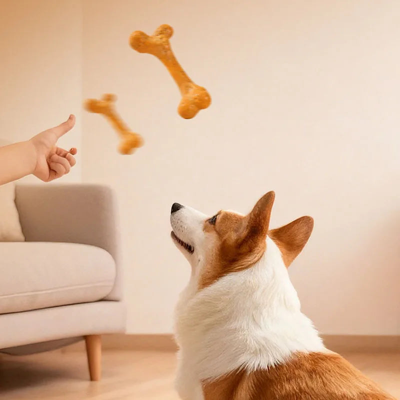 Durable Dog Chew Bones, Rawhide Pressed Bones for Aggressive Chewers, Teeth Cleaning Molar Sticks Toys for Puppy Small Medium
